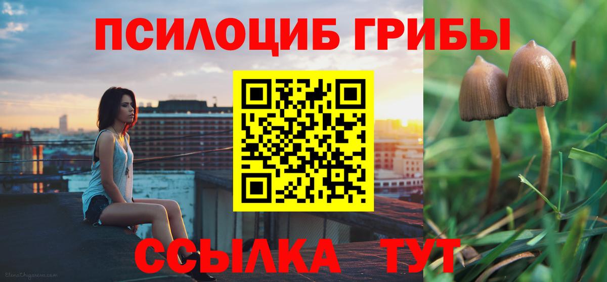 Галлюциногенные грибы Cubensis Лениногорск