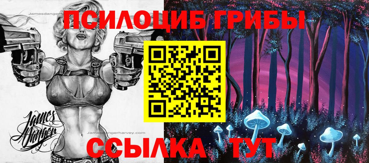 Лениногорск  Галлюциногенные грибы мухоморы  Псилоцибиновые грибы мухоморы  Вход с VPN 